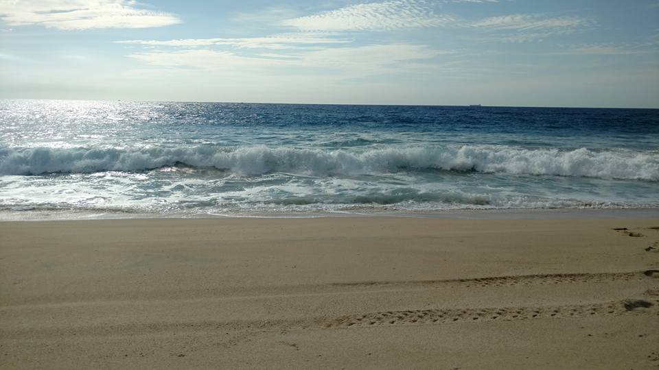 15202554_10154188948838995_2432527242750327896_n