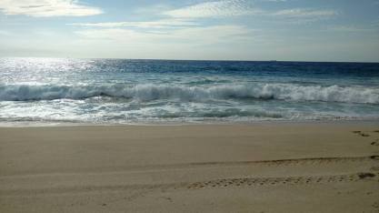 15202554_10154188948838995_2432527242750327896_n