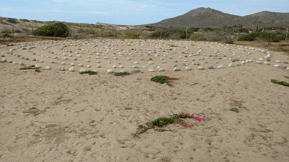 15284915_10154188949063995_5174527075601196233_n